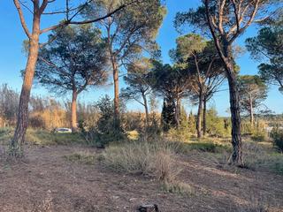 Terreny residencial  Industrial cn ii, poligono 18, parcela 44 (ampliac