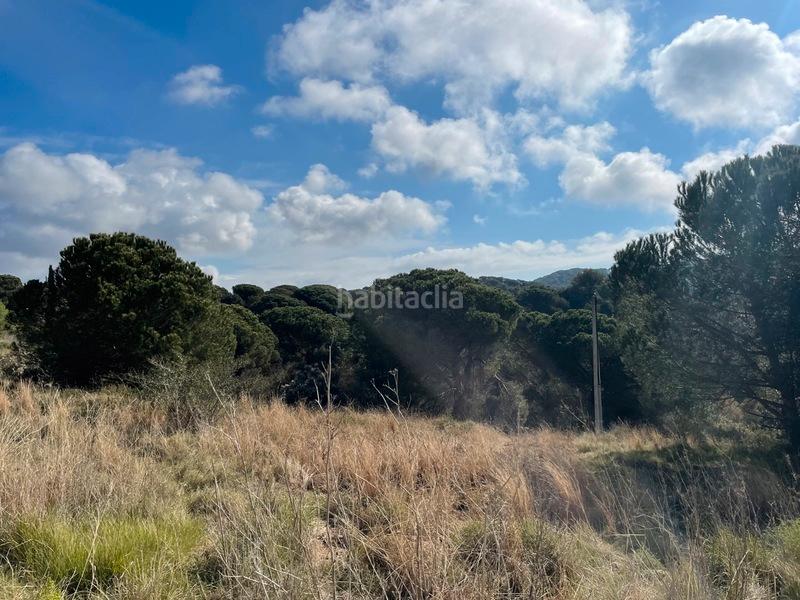 Foto 25b4d53c-3cdc-44df-8a51-d02b5621d02c. Terreny residencial a Mont Ferrant-Joan Carles I Blanes