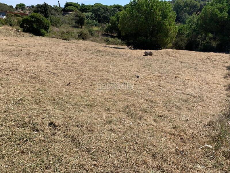 Foto 7a2779ab-6b26-4236-beed-81668b88a08f. Terrain résidentiel dans Mont Ferrant-Joan Carles I Blanes