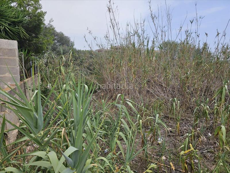 Foto e247b563-d0d4-4c56-b5be-fde4aa600d58. Residential plot in Centro Comercial - Capsades - Hospital Vinaròs