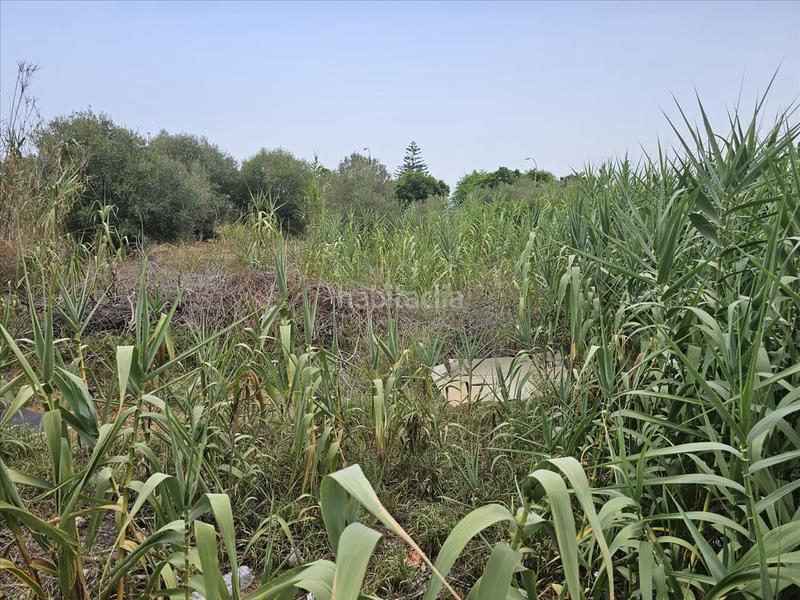 Foto d4488ab0-f857-417d-b246-3934c14f916c. Terreno residenziale in Centro Comercial - Capsades - Hospital Vinaròs