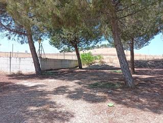 Terreny residencial  Cl infanta catalina parcela 34