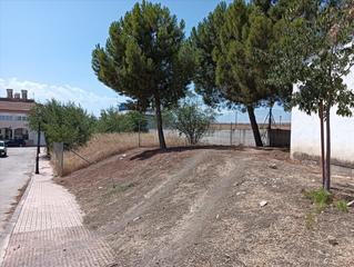 Terreny residencial  Cl infanta carlota parcela 21