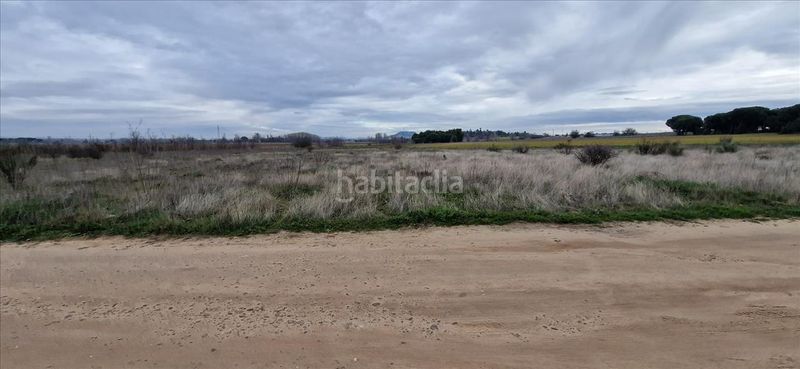 Foto 345c86ec-35fc-4521-9bf2-cac444e7a014. Residential plot in Laguna de Duero