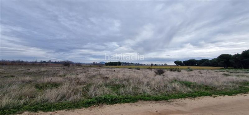 Foto 49e256c6-389d-4b34-8929-fd99c4ba897d. Residential plot in Laguna de Duero