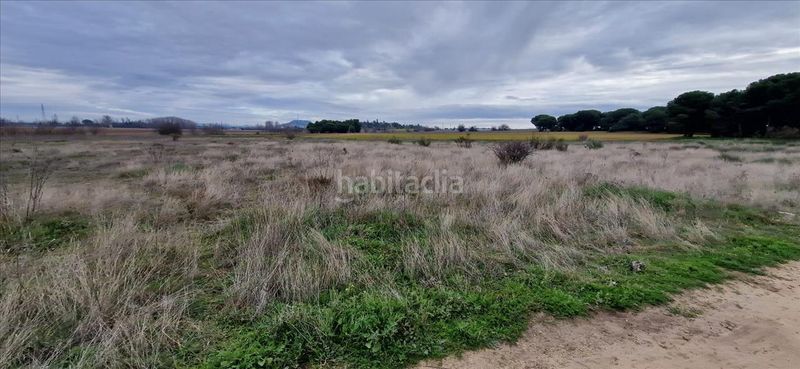 Foto 6c0c4687-8cb6-4fc9-b8e7-4de8a9e260e2. Residential plot in Laguna de Duero