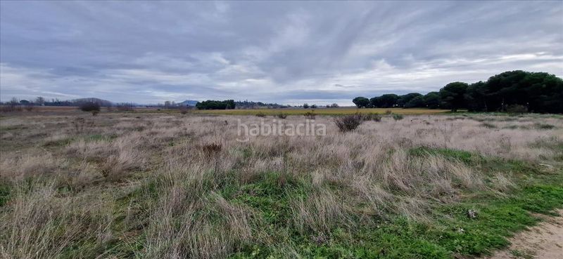Foto c0183814-2752-46b7-8553-3ce835aa1b9d. Residential plot in Laguna de Duero