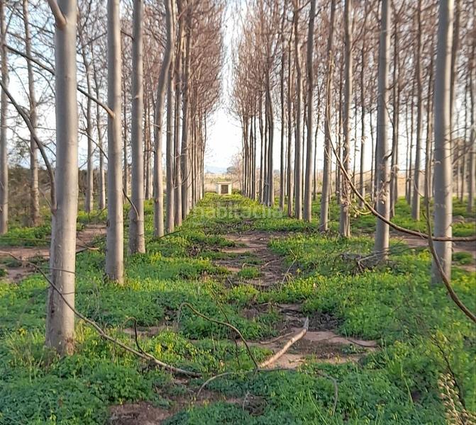 Foto 6ca2abe1-9e85-4d89-96cc-100967882544. Terreny residencial a Los Pinares-La Masia Bétera