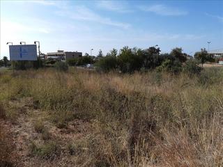 Terreny residencial  Roca tallada