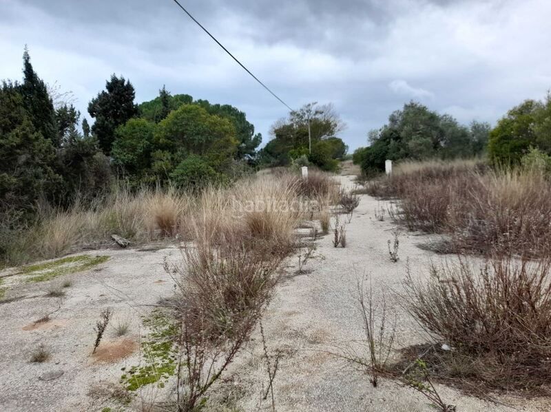 Foto 545145f1-60b8-4225-8c0d-ec53d0569847. Terreny residencial a Costa Norte Vinaròs