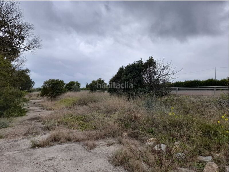 Foto 6b62a9f6-8792-4c47-b38b-b9307cb3065b. Terreny residencial a Costa Norte Vinaròs