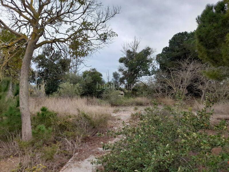 Foto ac8bcd1e-e50d-4e4f-abb6-8313e5902751. Terreny residencial a Costa Norte Vinaròs