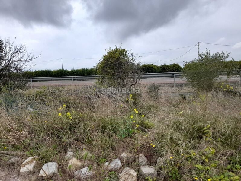 Foto db0b7f9e-96b7-4592-a1e5-057f3c5a865a. Terreny residencial a Costa Norte Vinaròs