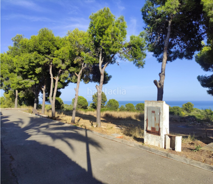 Foto dfd296a5-cd57-40ba-9b27-b912ce292abf. Terreno residenziale in Costa Sur Peñíscola