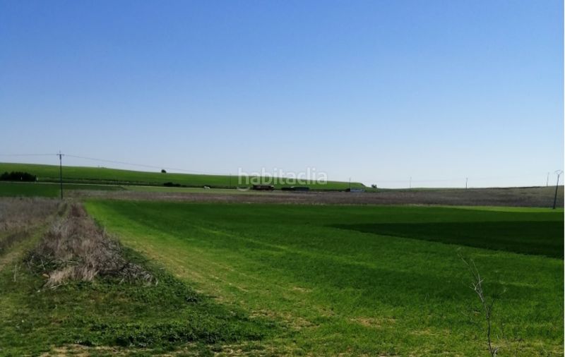 Foto a05319e5-6d67-4977-a266-3600a5709455. Area edificabile industriale in Simancas