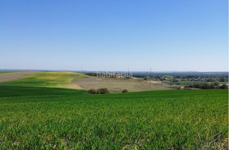 Foto c4f66dbb-2e1d-46d7-b4eb-85bc045a6b78. Area edificabile industriale in Simancas