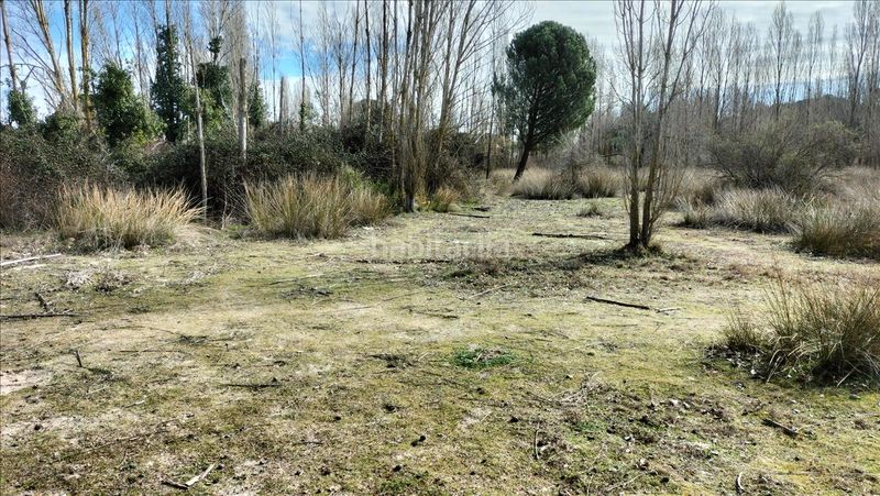 Foto 6aa1101d-6be1-4479-bd1e-23f7785c1d0e. Terreny residencial a Laguna de Duero