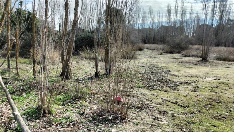 Foto c89af449-beff-42aa-9de5-7417b8565d7d. Terreny residencial a Laguna de Duero