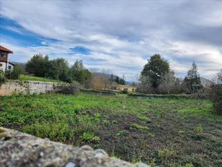 Residential Plot  Lamadrid