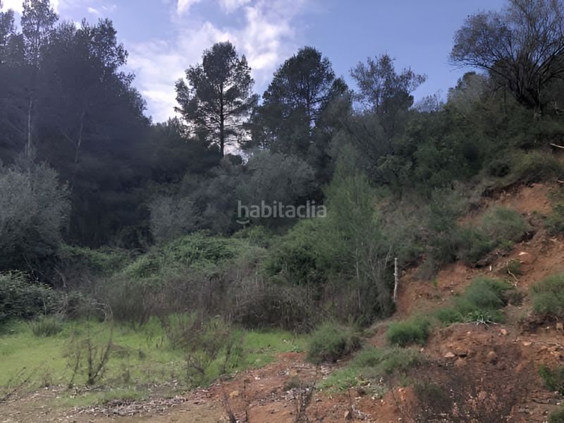 Foto 5ed896d6-b6c5-4e5c-b543-b7f8f94bbb61. Terreny residencial a Xàtiva