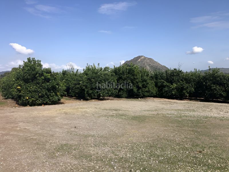 Foto 6f68f3ea-677e-43cf-a8a2-749588e74aa2. Terreny residencial a Xàtiva