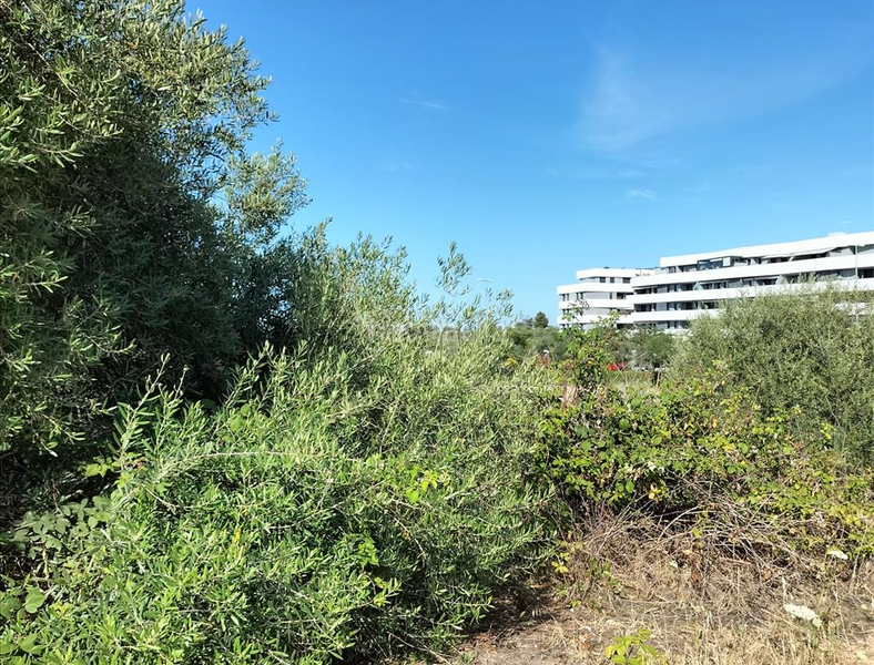 Foto 10b11b6f-c2db-4a15-bcf3-b8529a990294. Terreno residencial en Nuevo Bulevar Mairena del Aljarafe