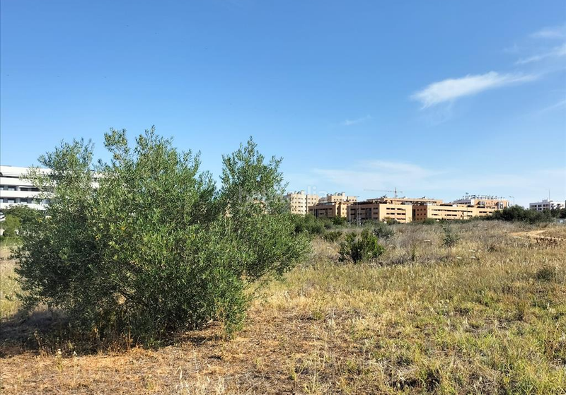 Foto 34951961-9217-40b0-889f-6340ac4866b6. Terreno residencial en Nuevo Bulevar Mairena del Aljarafe