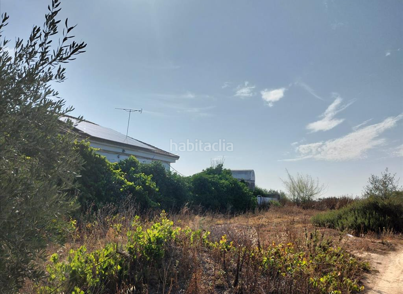 Foto 4f86e504-9895-4495-a98f-854977d5cc8a. Terreno residencial en Nuevo Bulevar Mairena del Aljarafe