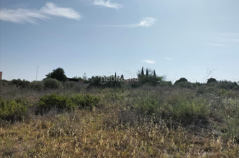 Foto 7e1279ce-4ebb-4827-bfa2-7a5ce46218b1. Terreno residencial en Nuevo Bulevar Mairena del Aljarafe