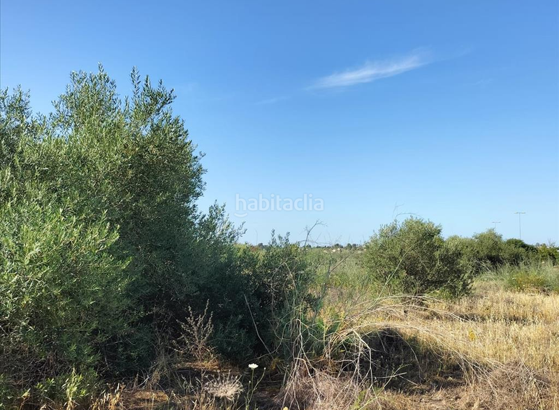 Foto a05f54ac-994b-4411-afb2-34e7ef8e76c7. Terreno residencial en Nuevo Bulevar Mairena del Aljarafe