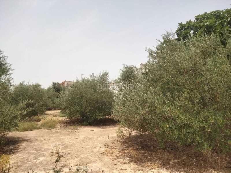 Foto b76d197c-b0c0-47bc-93f1-ae16f459eac4. Terreno residencial en Nuevo Bulevar Mairena del Aljarafe