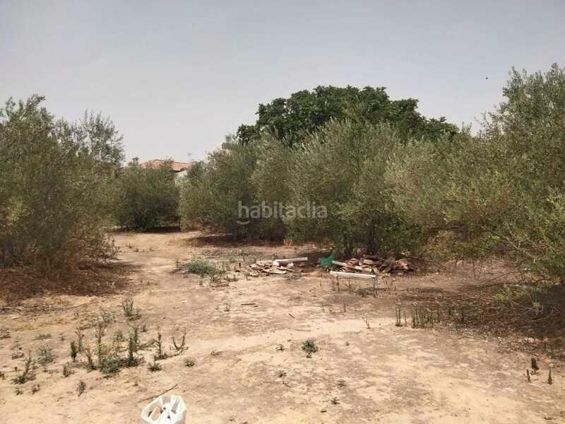 Foto c7c113c7-3ace-4c59-a390-e679256adf24. Terreno residencial en Nuevo Bulevar Mairena del Aljarafe