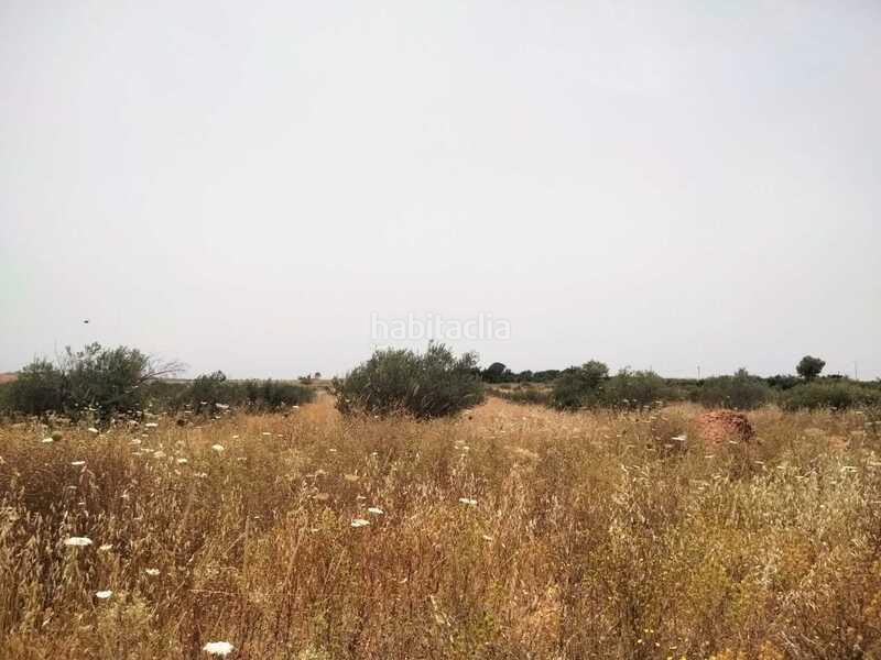 Foto 52aeaba8-23ad-4a43-b722-262f4ac5b99f. Terrain résidentiel dans Nuevo Bulevar Mairena del Aljarafe