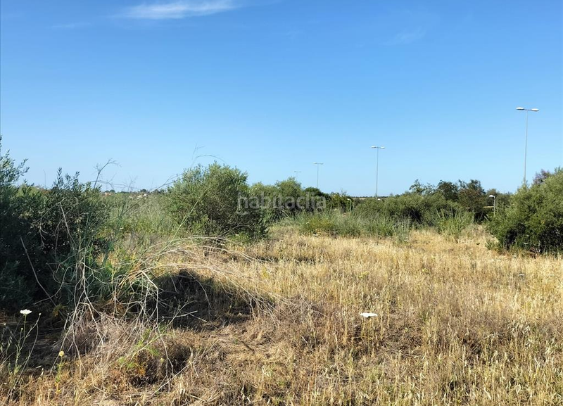 Foto 9777f0a7-1176-466d-9252-c523d2f8ee97. Terrain résidentiel dans Nuevo Bulevar Mairena del Aljarafe