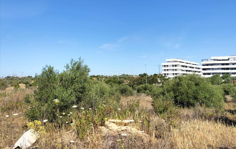 Foto bd9d2b23-f2f4-48c3-8b70-753837621838. Terrain résidentiel dans Nuevo Bulevar Mairena del Aljarafe