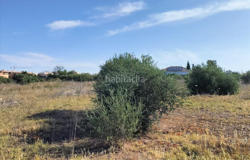 Foto d0896555-e03c-4b2d-a6c2-2fb82ea07578. Terrain résidentiel dans Nuevo Bulevar Mairena del Aljarafe