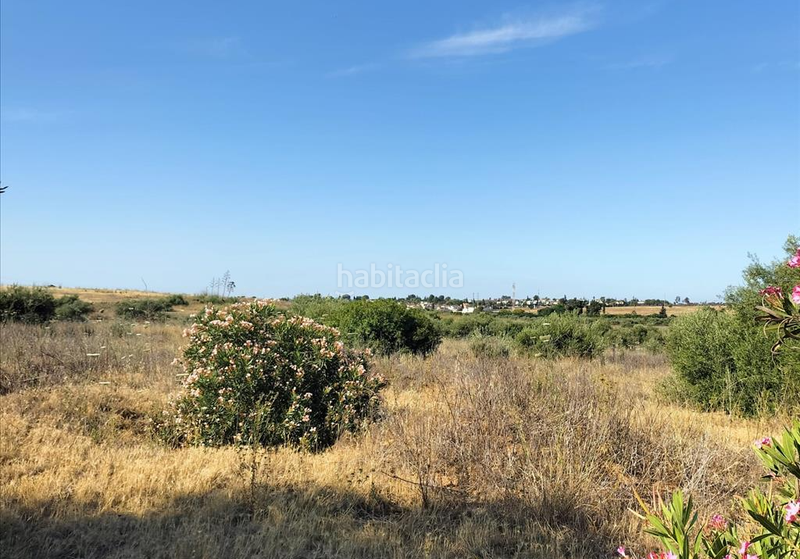 Foto 4c518db8-4223-4b89-b3f6-3839638bc64f. Terreno residenziale in Nuevo Bulevar Mairena del Aljarafe