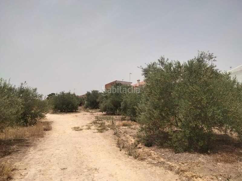 Foto 79accd8e-653a-4304-8ea9-551ef8e7eb6a. Terreno residenziale in Nuevo Bulevar Mairena del Aljarafe