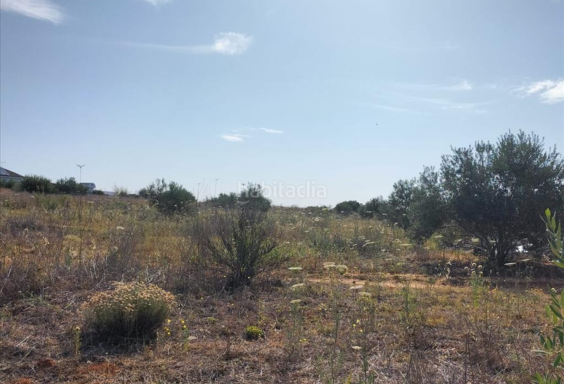 Foto fd5432e8-ffc4-461b-a42d-a3ad8ced25ba. Terreno residenziale in Nuevo Bulevar Mairena del Aljarafe