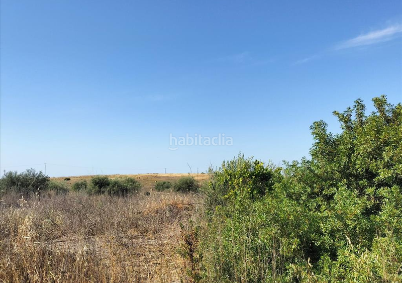 Foto 2c4490da-a703-4730-8ea2-a34191ac58e2. Wohngrundstück in Nuevo Bulevar Mairena del Aljarafe