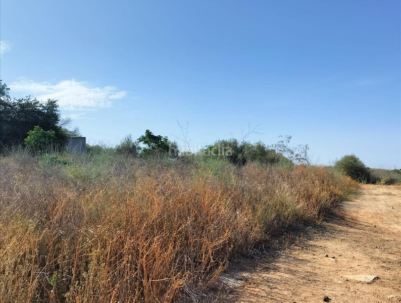 Foto 59055d02-996b-49c9-95af-bd139188d231. Wohngrundstück in Nuevo Bulevar Mairena del Aljarafe