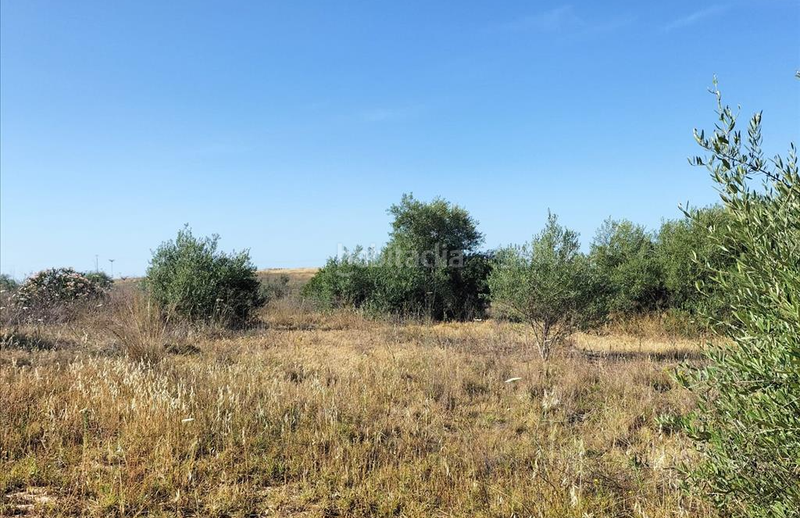 Foto 78717980-e699-4c64-b3b7-d13781ff92eb. Wohngrundstück in Nuevo Bulevar Mairena del Aljarafe