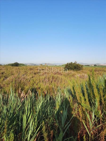 Foto 9166226c-b898-47a4-bb1e-2c8beb6fe430. Terreny residencial a La Torre-Playa de Chilches Moncofa