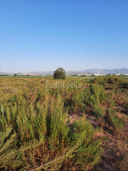 Foto 65aa7db1-9ba0-45e7-b291-5c2aa2dcfa47. Terreno residenziale in La Torre-Playa de Chilches Moncofa