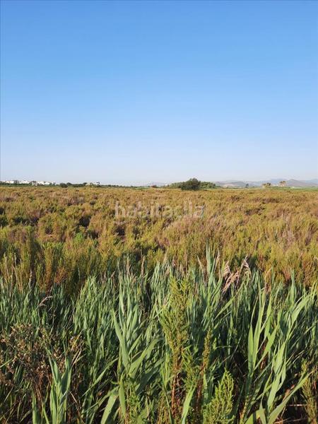 Foto d1fbec3e-8b68-49c9-920f-25597ea75694. Terreno residenziale in La Torre-Playa de Chilches Moncofa