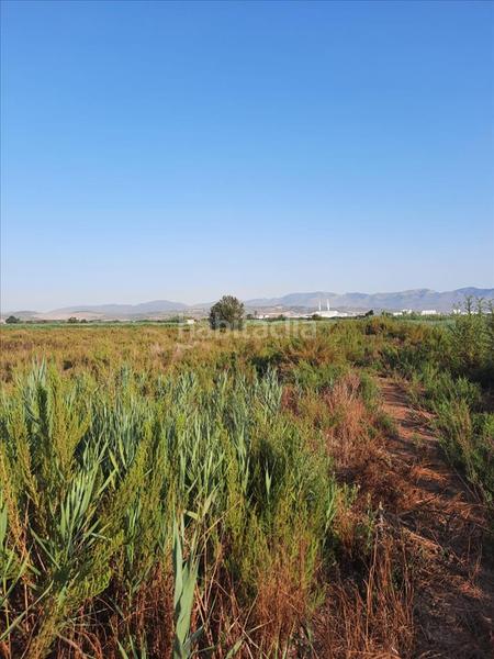 Foto e2c811c5-6fd7-413b-86e0-74af727b12d6. Terreno residenziale in La Torre-Playa de Chilches Moncofa
