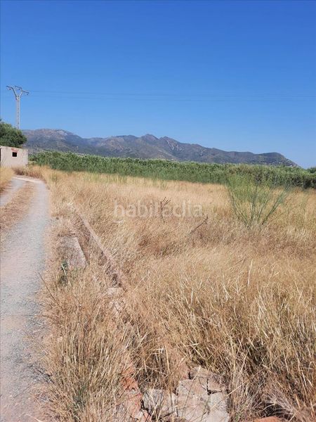 Foto 40c615e4-32fa-4403-9d42-95b5f6cff7c4. Terreny residencial a Nules