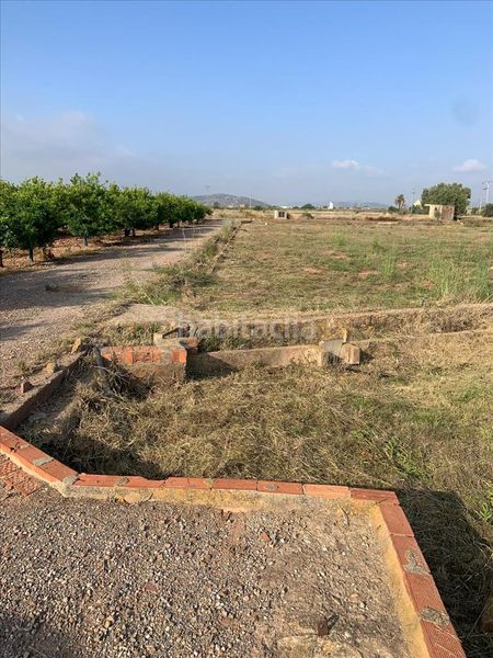 Foto 480b103d-9711-4348-b335-c2958b78bf87. Terreny residencial a Nules