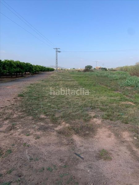 Foto e3868d61-9938-4f06-91b5-b3a942724556. Terreny residencial a Nules