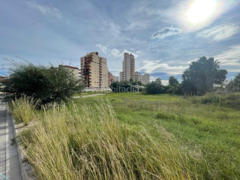 Foto 43019577-715e-4d74-9dfa-baf426fc30e8. Terreny residencial a Tavernes de la Valldigna
